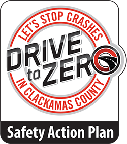 Drive to Zero Safety Action Plan