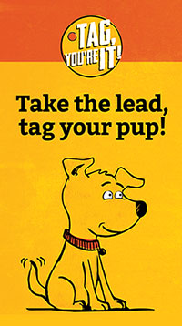 Take the lead, tag your pup!