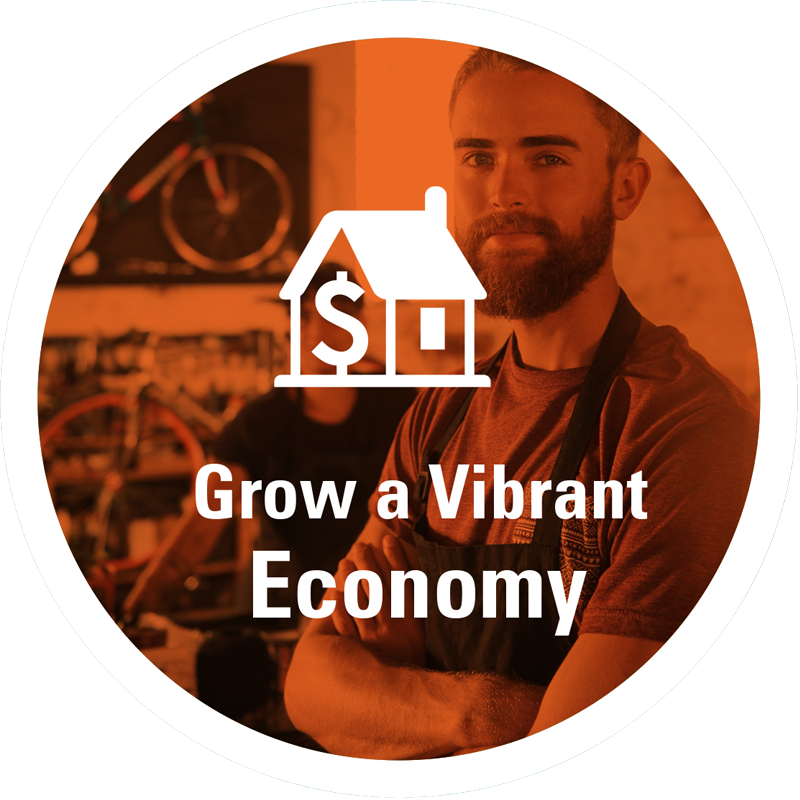 Grow a vibrant economy