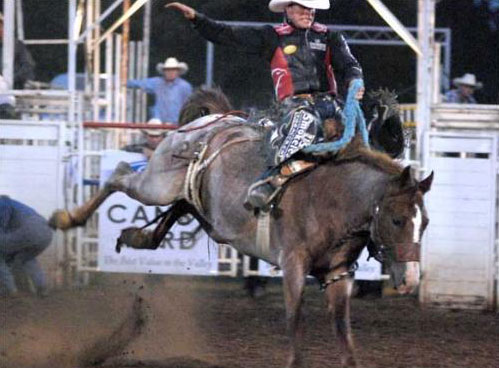 Saddle Bronc