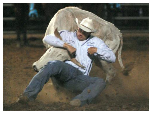 Steer Wrestling