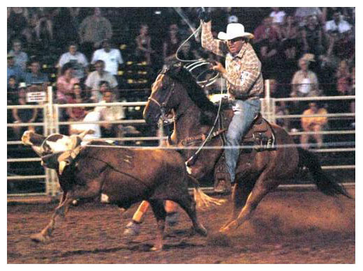 team roping