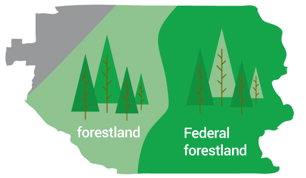 forest map