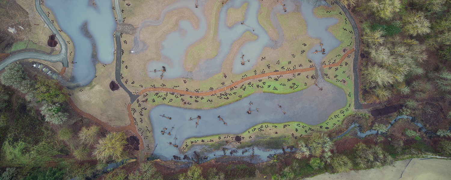 Carli Creek aerial photo