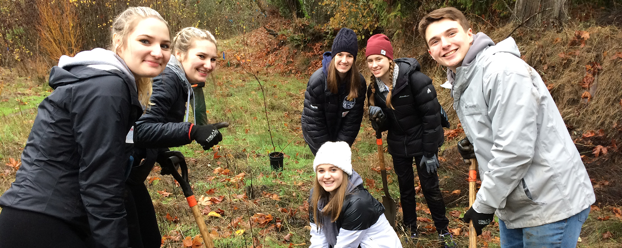 Teenagers planting