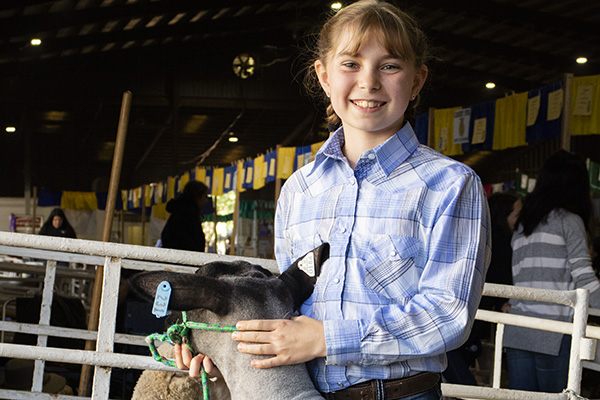Exhibiting animals at the fair