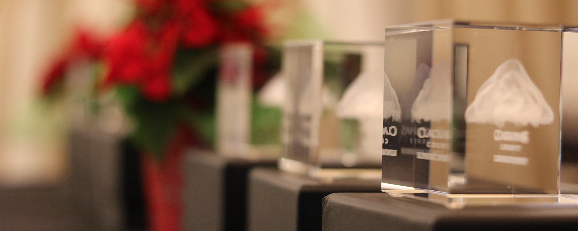Local businesses win awards