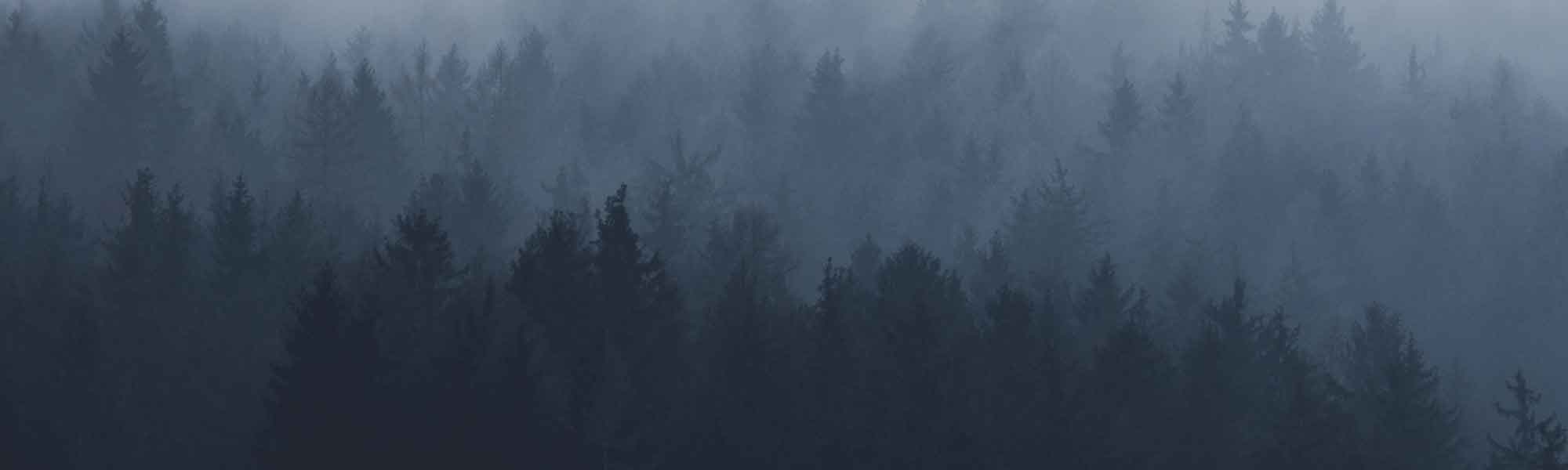 Smoke around trees