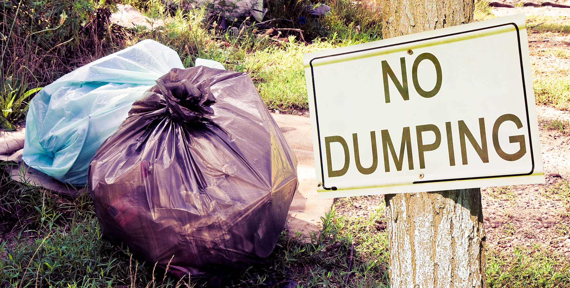 Illegal dumping