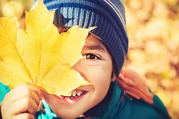 Young boy holding an autumn leaf