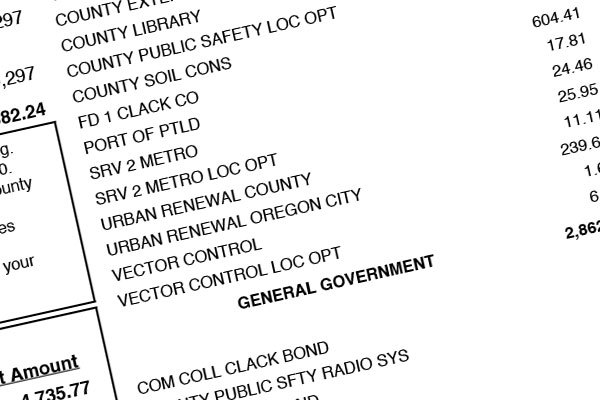 Property tax statement