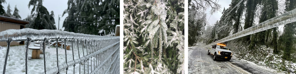 Winter Ice Photos