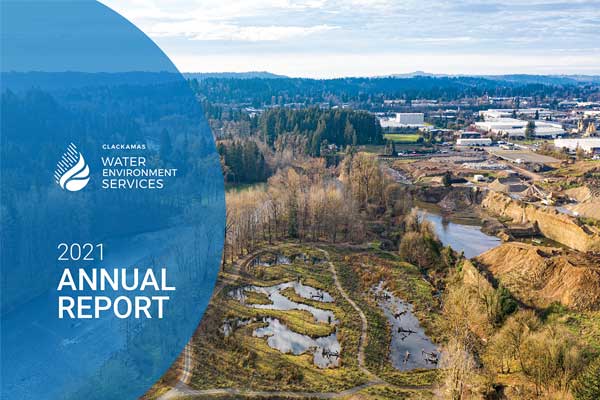 Cover of the 2021 WES Annual Report