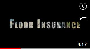 title card for flood insurance video