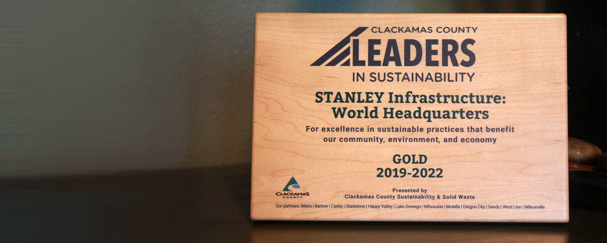 Leaders in Sustainability award in cabinet