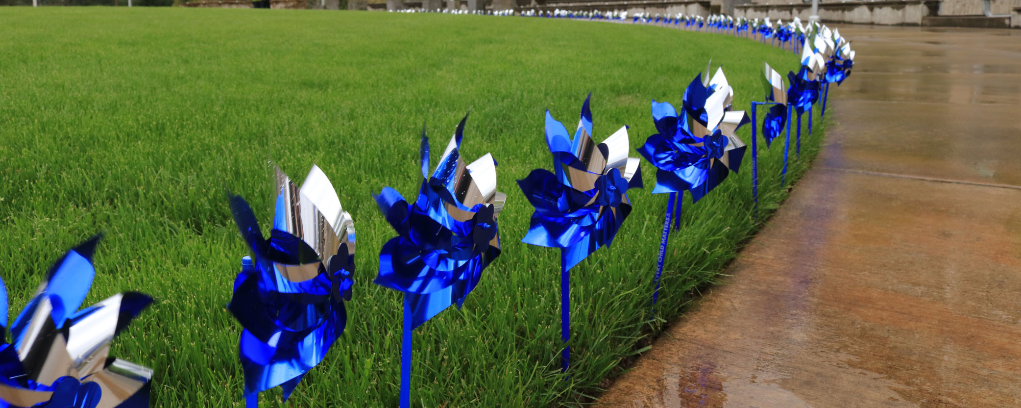 Pinwheels lined up around the Circle of Honor