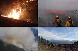 Wildfire Protection Plan