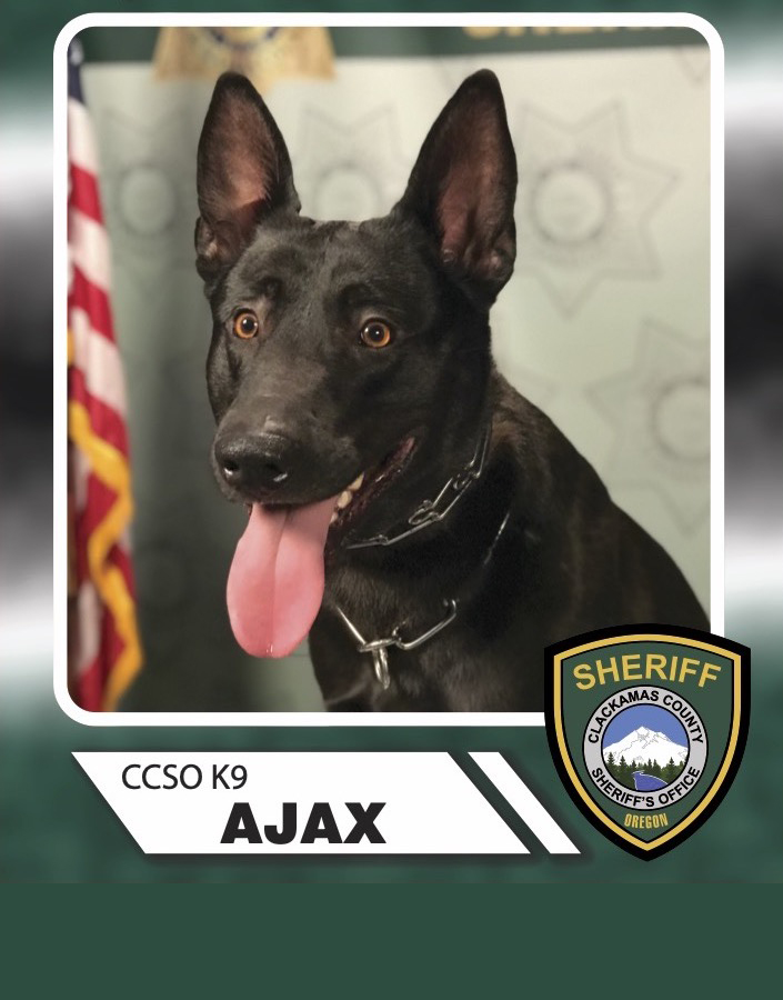 K9 Ajax