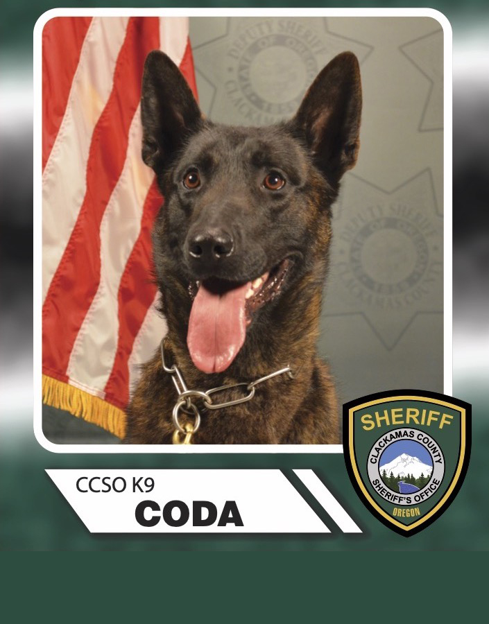 K9 Coda