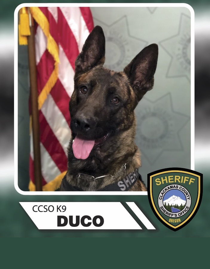 K9 Duco