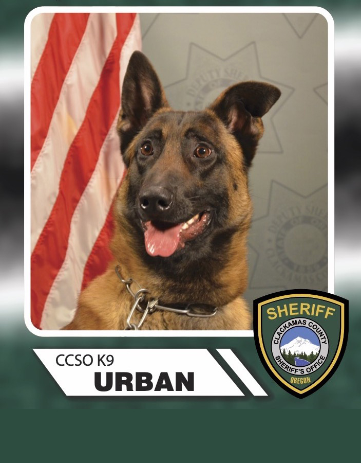 K9 Urban