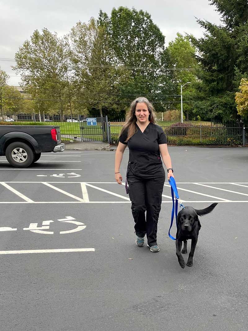 Buddy walking with handler