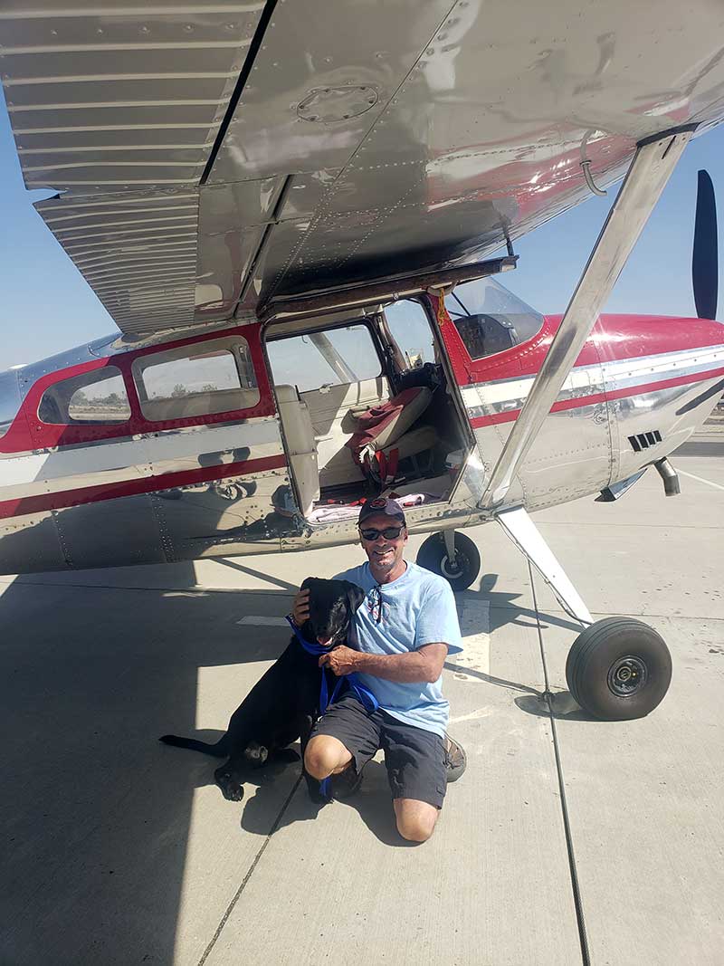 Black lab and pilot outside of small plane