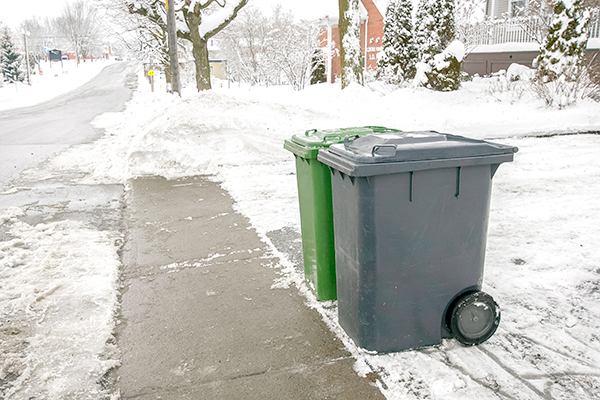 Garbage cans on the side of the road in snow weather