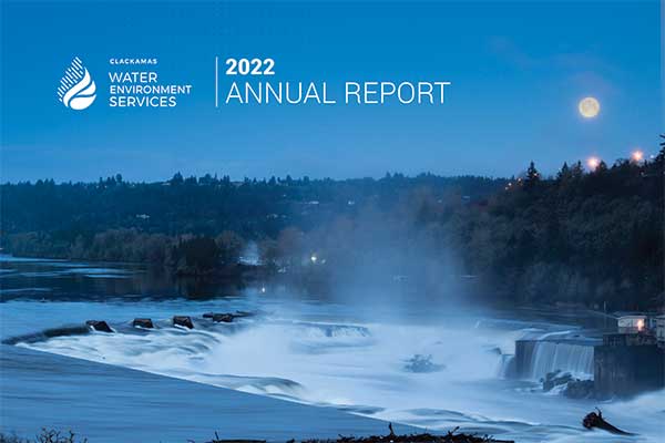 Wes 2022 Annual Report cover
