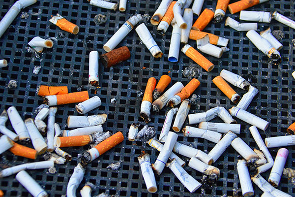 Cigarette butts littered on the ground