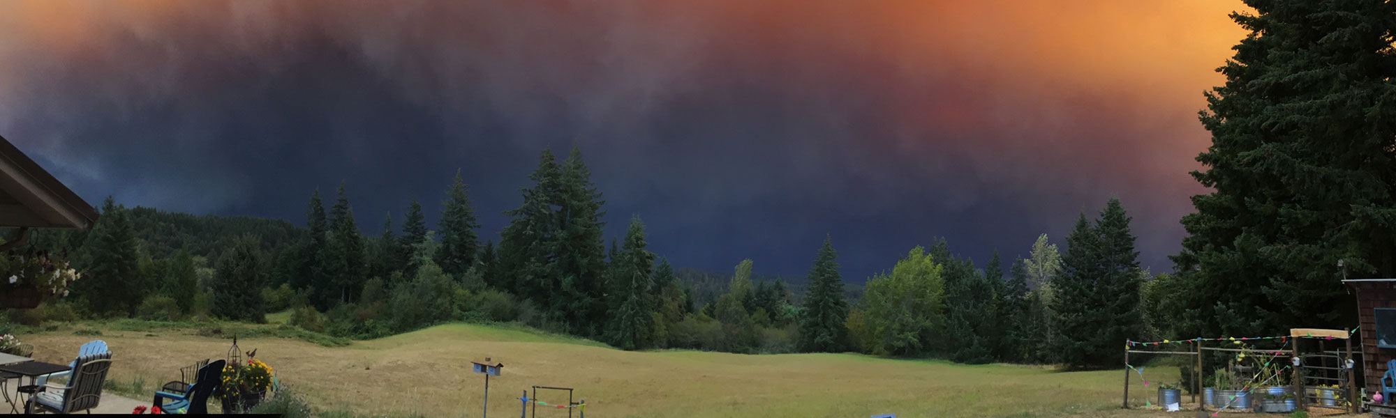 Tree line in front of a smoky horizon due to a wildfire