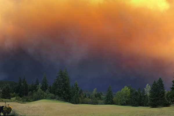 wildfire smoke