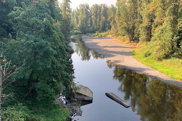 Molalla river with beach and trees