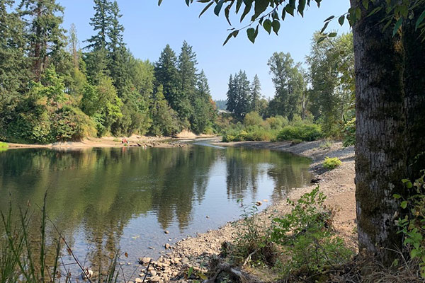 Molalla river with rock beach and trees