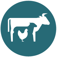 Livestock