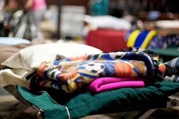 Cots with blankets on them