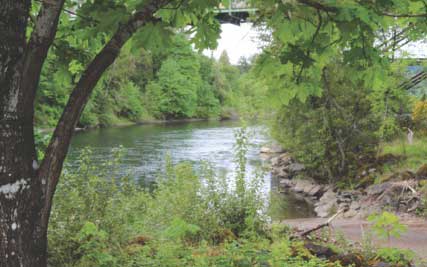 Clackamas River at Barton Park