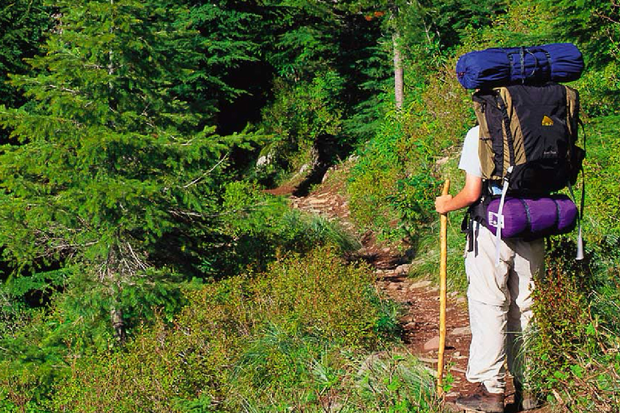 Person standing on forest trail with large backpack on