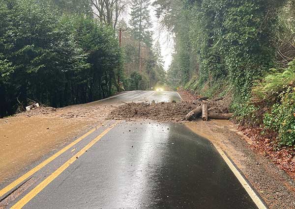 mud and trees in the road