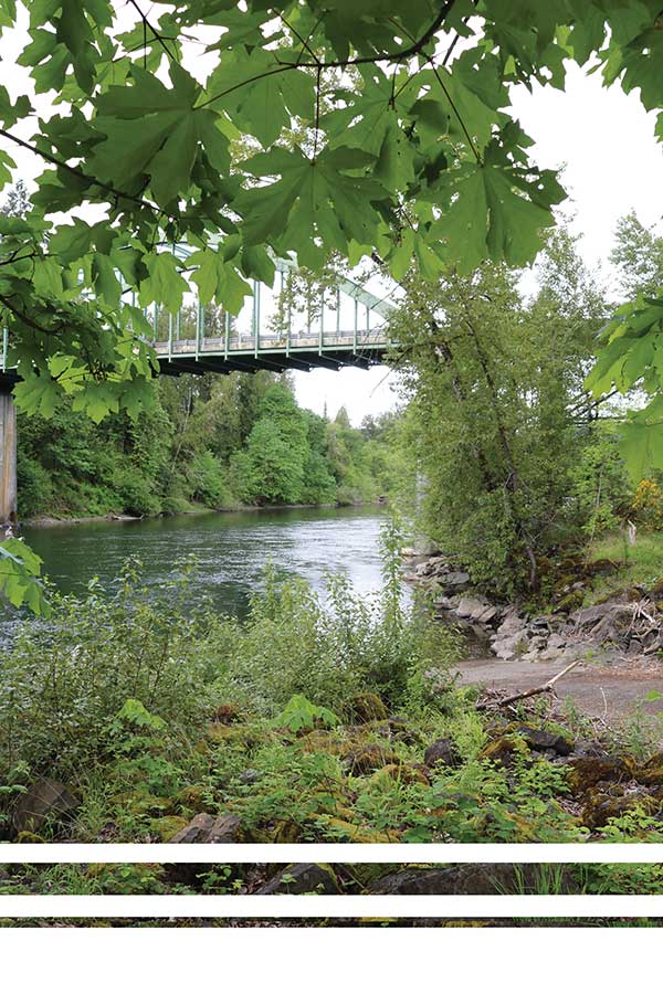 Clackamas river from the banks of Barton Park