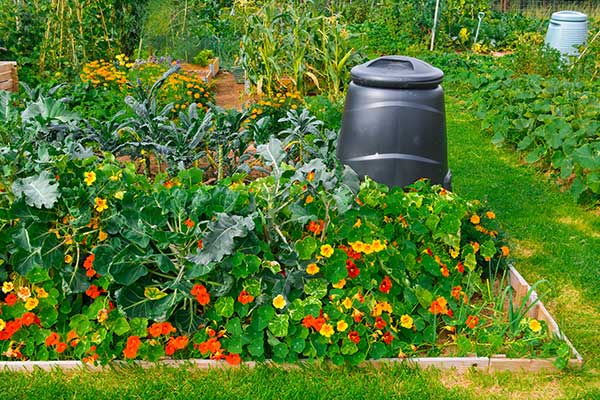 Small composter container sitting in a garden