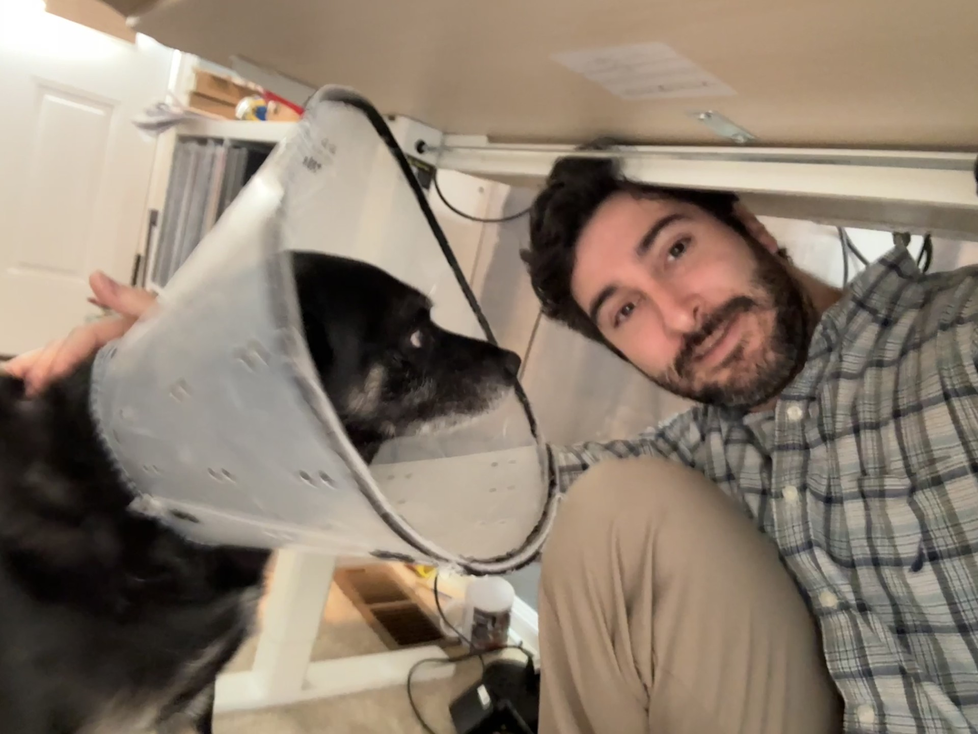 Man and his dog under a desk