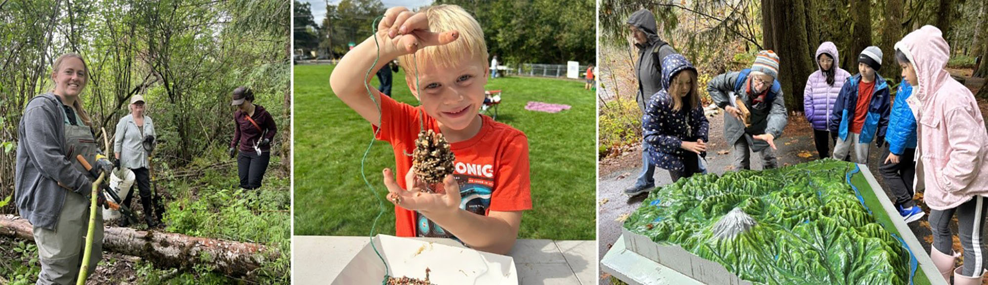 collage of people cleaning the environment