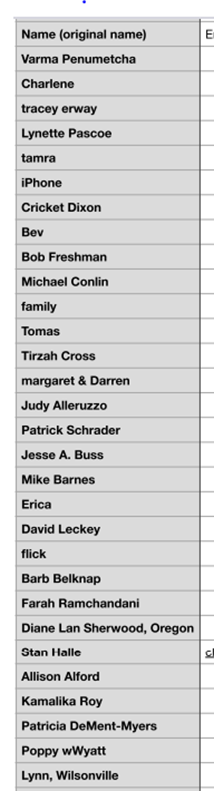Screenshot of zoom attendees