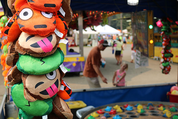 Prizes to be won at the County Fair