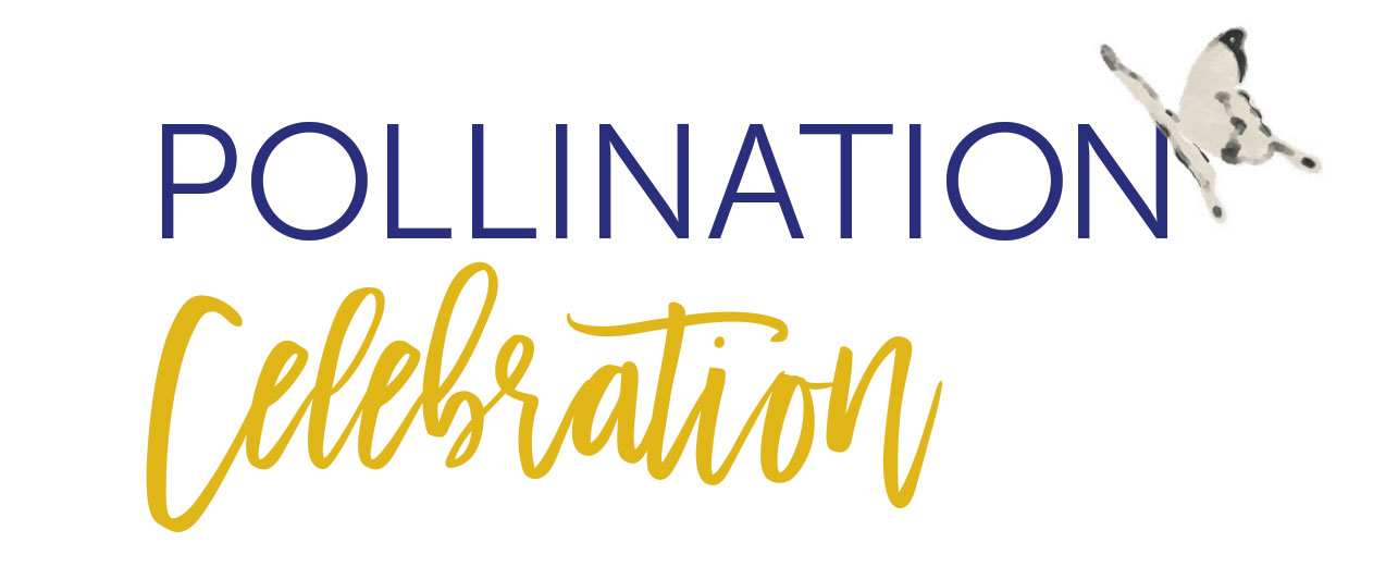 Pollination Celebration