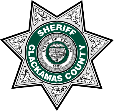 Sheriff Badge