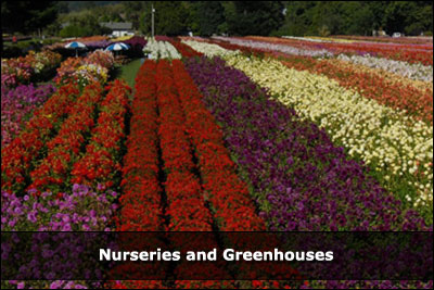 Nurseries and Greenhouses