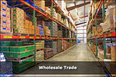 Wholesale Trade