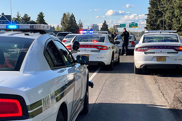 Patrol cars around a suspect